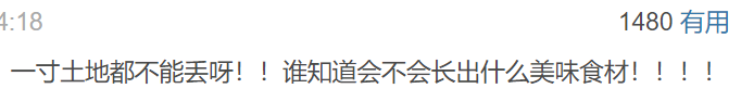 賭波:9.4分國産良心,也跌落神罈了