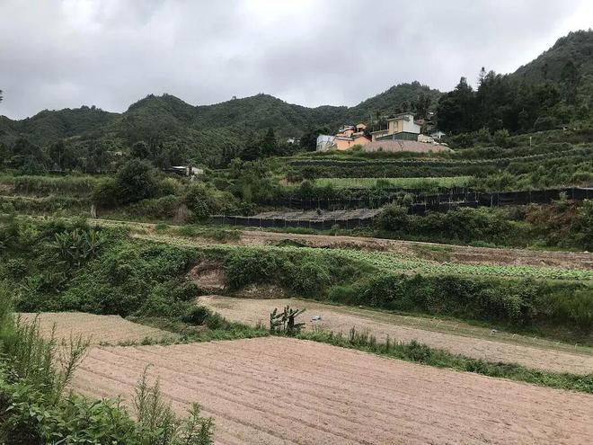 體育投注：紥十一惹：像鳥飛往她的山