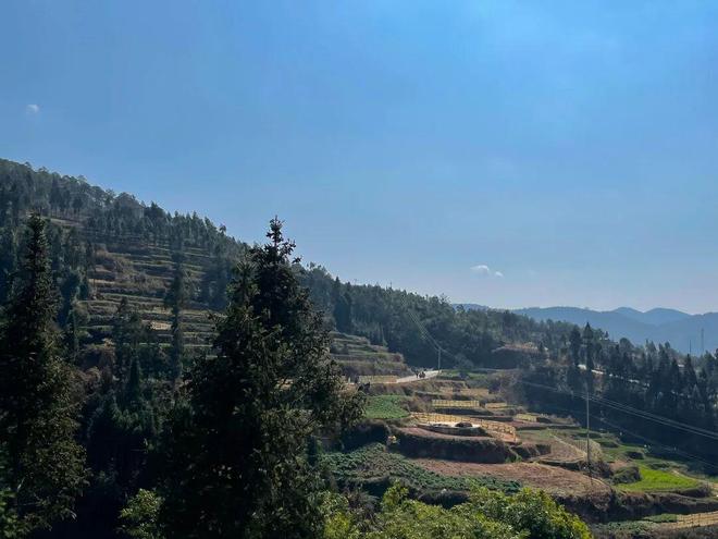 體育投注：紥十一惹：像鳥飛往她的山